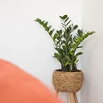 Guestready - Terrace Cozy * Coimbra