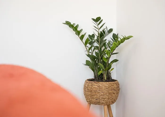 Guestready - Terrace Cozy * Коимбра