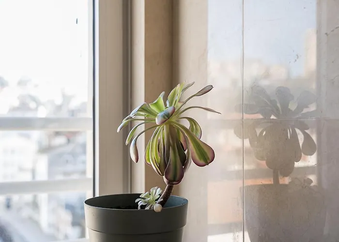 Guestready - Terrace Cozy * Coimbra